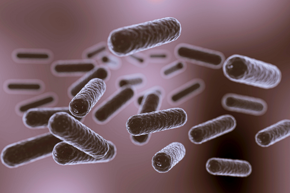 Helicobacter pylori